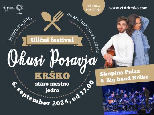 Ulični festival - Okusi Posavja